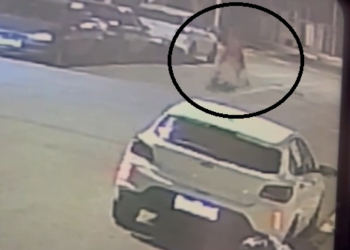 Uma mulher grávida de sete meses foi estuprada no meio da rua na manhã de domingo (4/8) no Jardim. Grávida de