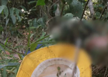 Todo furado por tiros, cadáver é encontrado na AM-070