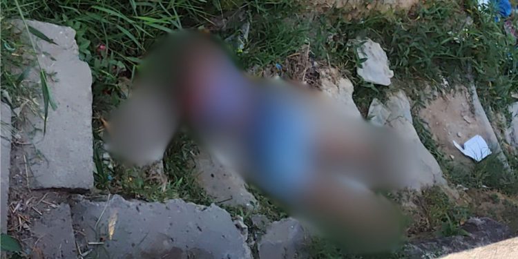 Uma mulher, ainda não identificada, foi perseguida por dois pistoleiros e morta com tiros na cabeça, na. Mulher é