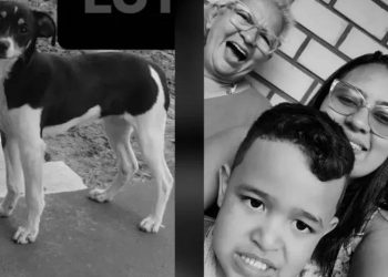 Cadelinha de família que estava no voo também morreu