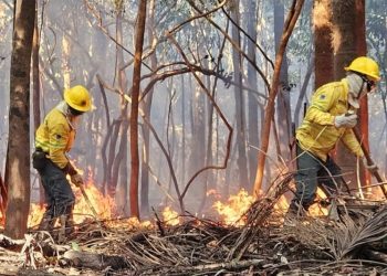 Ações do governo do Estado contra queimadas são “enxugação de gelo”, diz MP de Contas