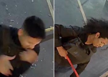 LADRÕES ATRAPALHADOS invadem loja e levam caixas vazias em Manaus