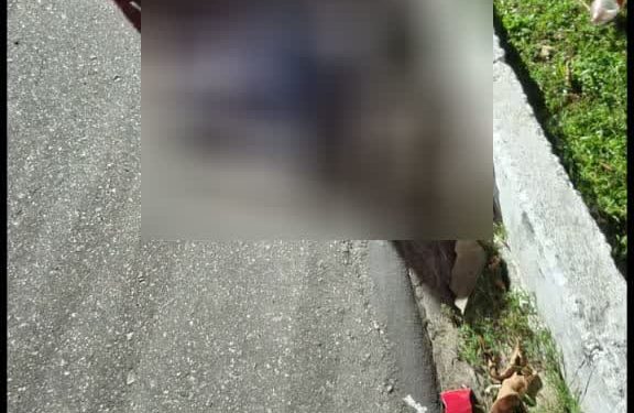 Jovens morrem em acidente de motocicleta na avenida do Turismo, em Manaus