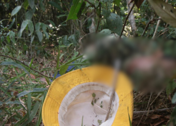 O corpo de um homem identificado por Matheus Lima, 28, foi encontrado com marca de tiro na noite de sábado. Com marca