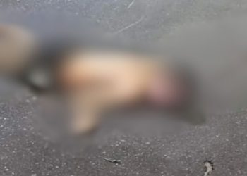 Vídeo mostra como ficou motoqueiro que morreu após dar 'de cara' em árvore no bairro Educandos