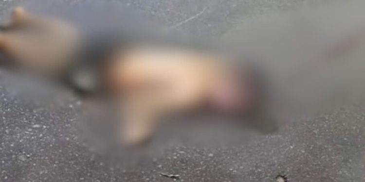 Vídeo mostra como ficou motoqueiro que morreu após dar 'de cara' em árvore no bairro Educandos