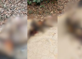 Vídeo forte: Corpo de homem é achado incendiado no ramal do Brasileirinho e com marcas de tortura