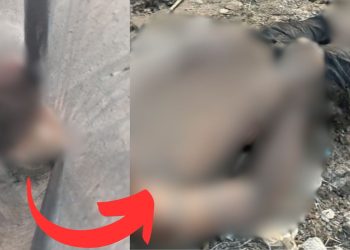 Cabeça que faltava do corpo de jovem morto em igarapé é achada em saco preto no Educandos