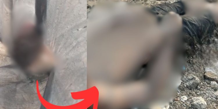 Cabeça que faltava do corpo de jovem morto em igarapé é achada em saco preto no Educandos