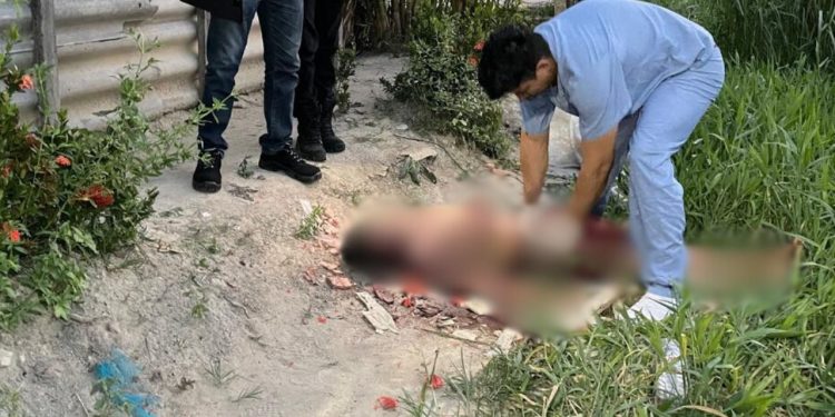 Suposto X9 é levado para o Monte das Oliveiras para morrer com tijoladas na cabeça