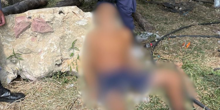 Sentado às margens de igarapé, homem e achado morto em Manaus