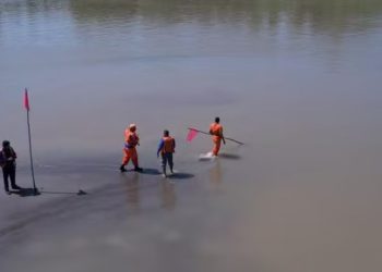 Rio Solimões reduz 16 cm em 24 h e atinge menor nível histórico no Amazonas