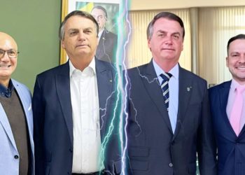 A ema gemeu no tronco do juremá