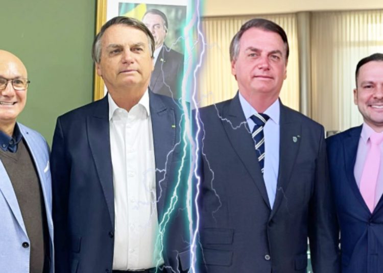 A ema gemeu no tronco do juremá