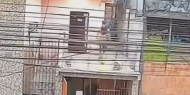 Câmera flagra homem jogando dois cachorros do segundo andar no Jorge Teixeira e gera revolta