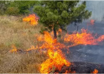 Queimadas que não param e assustam a capital amazonense