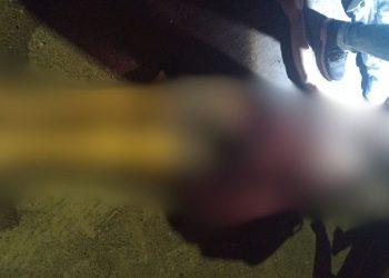 Kedson Rufino Araújo, de 33 anos, foi morto com vários tiros pelo corpo na madrugada deste sábado (7). Homem