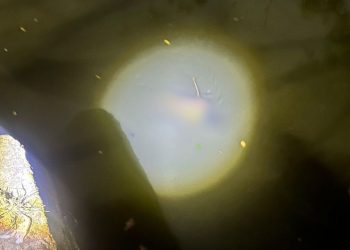 Corpo é achado boiando com as mãos e pés amarrados em Manaus