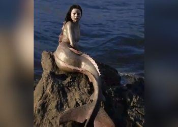 Em 2006, uma história ganhou a mídia internacional, ao noticiar uma carcaça de sereia foi encontrada na. Sereia