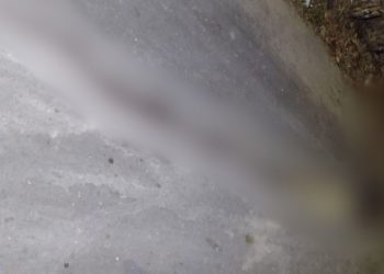 Um homem, que ainda não foi identificado, foi encontrado morto com as mãos e os pés amarradas na madrugada. Rastro