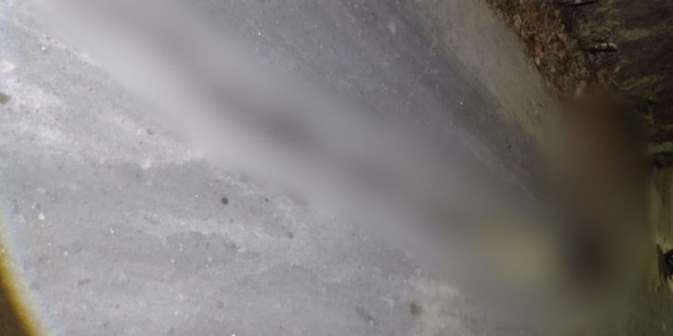 Um homem, que ainda não foi identificado, foi encontrado morto com as mãos e os pés amarradas na madrugada. Rastro