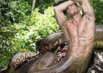 O ‘Encantado’ Cobra-Norato e as  pessoas que são tragadas para o fundo do rio, na Ilha do Robertinho