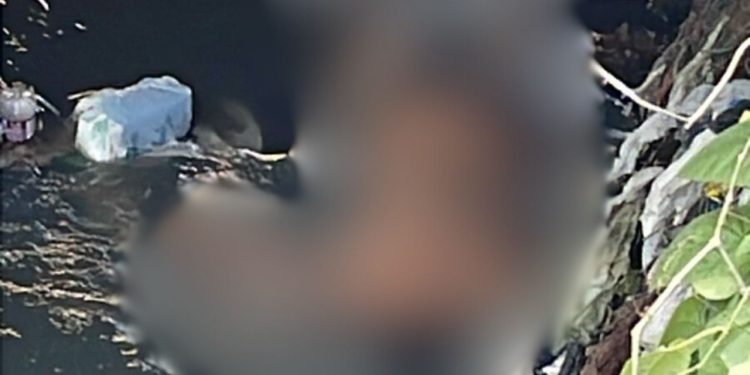 Populares encontram corpo de homem boiando em igarapé no São José