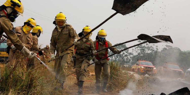 Amazonas entra em alerta laranja de perigo para baixa umidade de ar, aponta Inmet