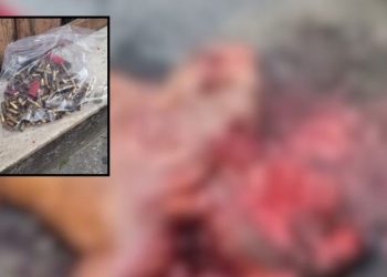 Jovem é mort0 e tia morr3 ao saber do crime