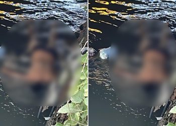 Corpo acaba de ser encontrado na Zona Leste de Manaus