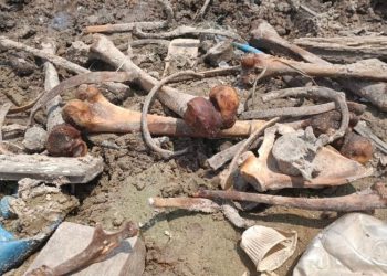 Ossada humana é encontrada na Feira da Panair em Manaus