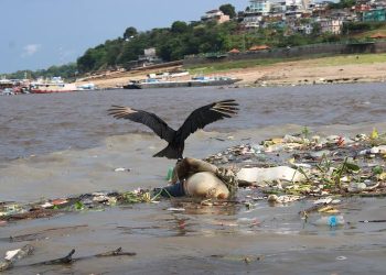 Corpo é encontrado em meio ao lixo em Manaus