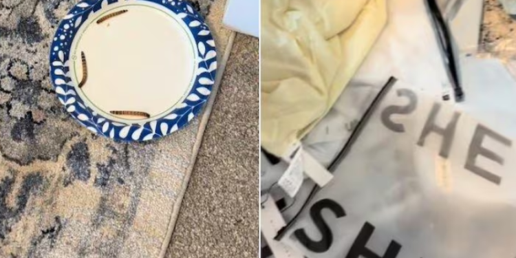 Cliente compra saia na Shein e recebe produto cheio de larvas; veja vídeo