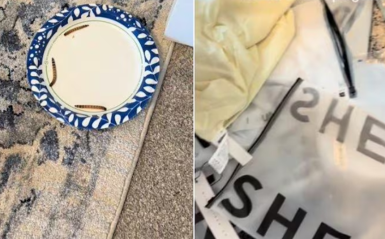 Cliente compra saia na Shein e recebe produto cheio de larvas; veja vídeo