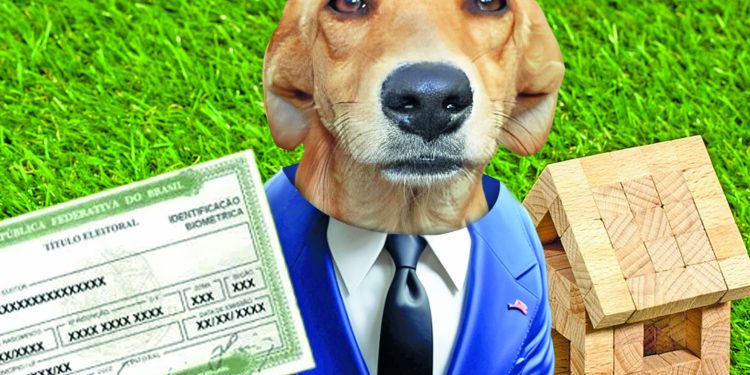 Bom pra cachorro: Em época de eleição até pet é bom de voto em Manaus