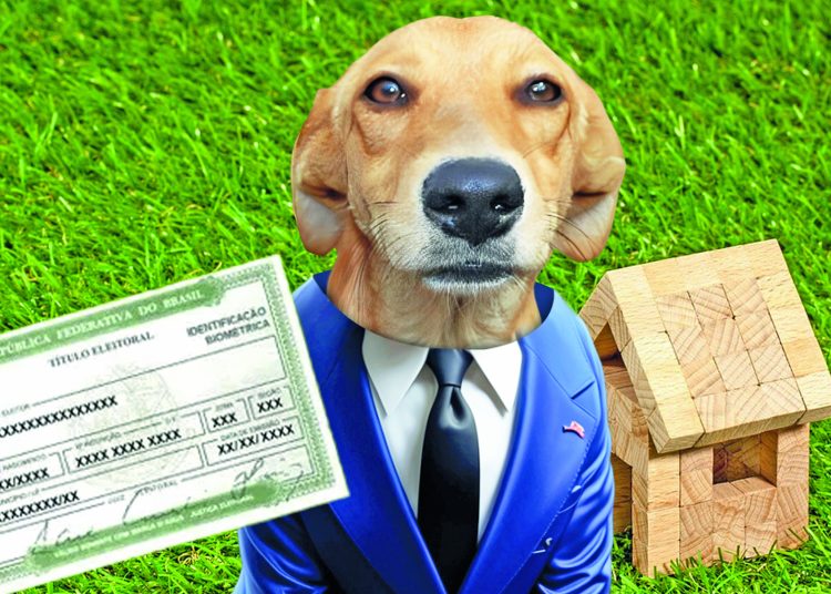 Bom pra cachorro: Em época de eleição até pet é bom de voto em Manaus