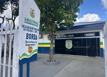 A Polícia Civil do Amazonas (PC-AM), por meio da 74ª Delegacia Interativa de Polícia (DIP) de Borba (a 151. Preso