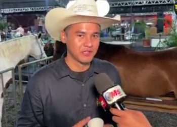 Confira a exposição dos animais na Expoagro em Manaus