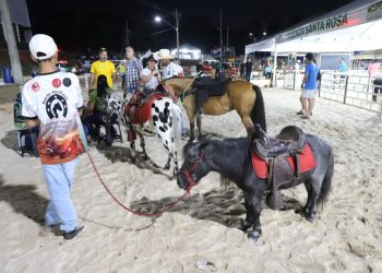 Expoagro 2024: Diversão e aprendizado para a criançada com programação especial