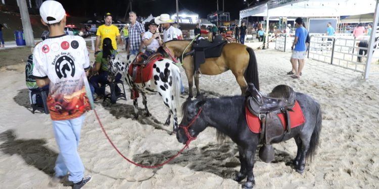 Expoagro 2024: Diversão e aprendizado para a criançada com programação especial