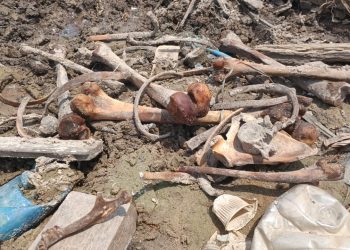 Ossos humanos são encontrados na Feira da Panair; veja as fotos