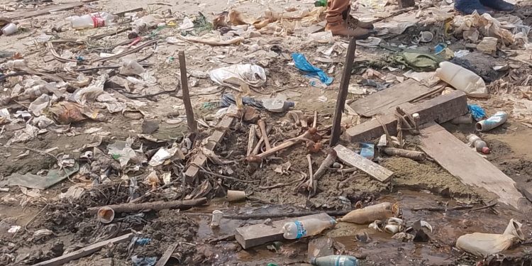 Mais ossos humanos são encontrados na Feira da Panair por conta da seca