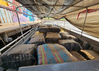 FICCO/AM apreende mais de duas toneladas de drogas no Amazonas