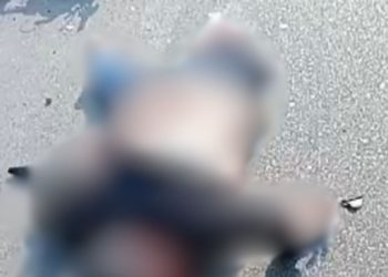 Vídeo mostra motociclista que morreu após ser atropelado por carreta no Distrito