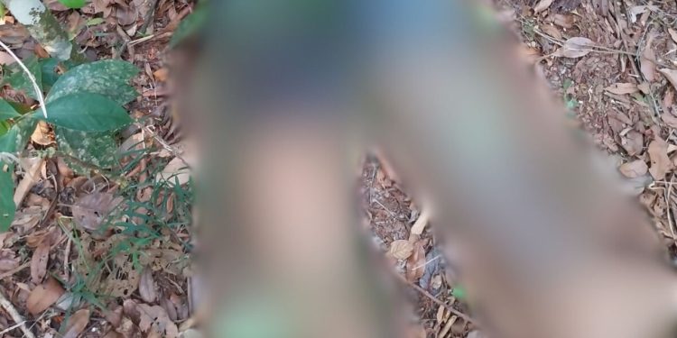 Após desaparecer na sexta-feira 13 em Manaus, empresário é achado morto com tiros na cabeça