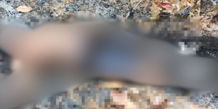 Ladrão de fios morre eletrocutado no interior do Amazonas; veja