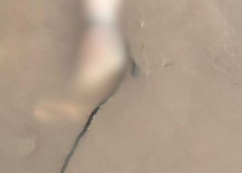 Jovem que foi assassinado é achado boiando no rio do interior do Amazonas