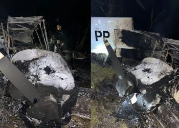 Avião de pequeno porte sai de Manaus e cai no interior do Amazonas