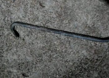 No interior do Amazonas, homem é preso após tentar bater em 'vizinha fofoqueira' com pé de cabra