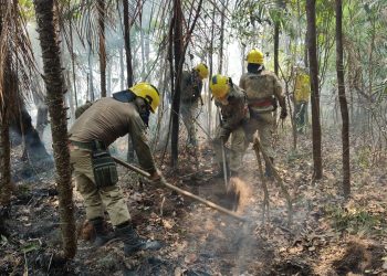 Em setembro, Corpo de Bombeiro combateu mais de 6,6 mil focos de incêndio no AM